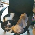 Gordon Summers - @summersgordon24 - Instagram