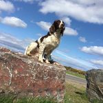 Gordon Sutherland - @gordon.sutherland.5623 - Instagram