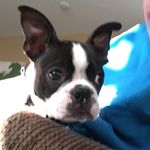 Gordon Sutherland - @gordonissutherland - Instagram