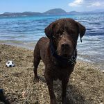 Gordon Tait - @gordon.tait.3994 - Instagram
