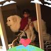 Gordon Tang - @gordontang - TikTok