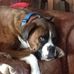 Gordon Thiel - Facebook