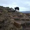 gordontrowbridge - @gordontrowbridge - TikTok
