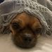 Shona Trowbridge - Facebook
