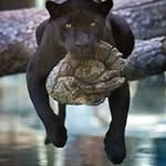 Gordon Upton - @uptongordon - Instagram