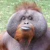 Gordon Watkins289 - @gordonwatkins289 - TikTok