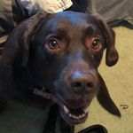 Tucker - @tuckergordonweeks - Instagram