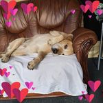 Gordon Welsh - @welsh.gordon - Instagram