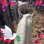 Gordy Whitman - Facebook