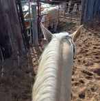 Gordy Whitman - Facebook