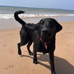 Gordon Brown - @gordybrown1964 - Instagram
