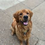 Gordon Smith - @____gordon_smith____ - Instagram