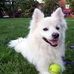 Governess Simpson - Facebook