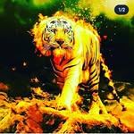 Govind Acharya - @govind.acharya.399488 - Instagram