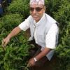 govinda_Acharya123 - @govinda_acharya123 - TikTok