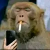 Govind Bhatt - @govind.bhatt6 - TikTok