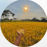 Govind Yadav - @_farmer__life_49 - Instagram