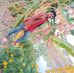 Rajkumar Ghorui - Facebook