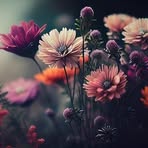 Gowri Reddy - Facebook