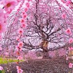 gözde eker - @gozdeeker58 - Instagram