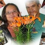 Graça Medeiros - @graca.medeiros.562329 - Instagram