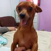 Graca Medeiros - @gracamedeiros2 - TikTok