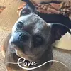 Grace Apollonio Abate - @grace.apollonio.a - TikTok
