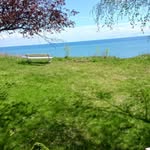Mary Grace Abate Olds - @abateolds - Instagram