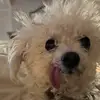 Grace Amatore - @graceamatore - TikTok