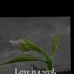 Grace Appiah - Facebook