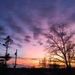 Grace Atwood - @look_at_all_the_pretty_trees - Instagram