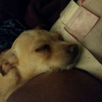 Buttercup  grace  bagby gorton - @buttercuplove47 - Instagram