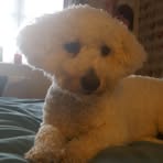 Grace Bainbridge - Facebook