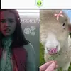 Grace Bainbridge🛸 - @grace.bainbridge5 - TikTok