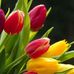 Grace Barraza - Facebook