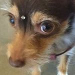 Grace Barraza - @gracielambarraza - Instagram