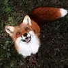 Grace Bartley - @grace.bartley - TikTok