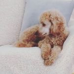 Grace Bates - @gracebates4174 - Instagram