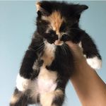 Ellie - @ellie.grace.baughman - Instagram