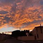 @grace_beams - Instagram