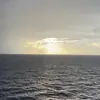Grace.B✝️🦆 - @gracebeam2101 - TikTok