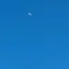 Grace! - @grace._.bean - TikTok