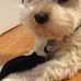 Grace Beaudin - Facebook