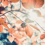 Grace Beckman - Facebook