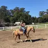 grace beckmann - @gracebeckmann8 - TikTok