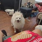 Grace Beebe - @grace.beebe.54 - Instagram
