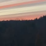 @gracebeebe_ - Instagram