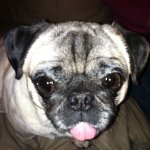 Brandy Grace Belcher - @brandygrace567 - Instagram