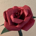 Grace Bergman - @gsb.4413 - Instagram