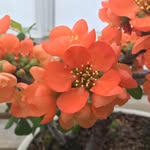 Grace Bergstrom - @s.pic.s - Instagram